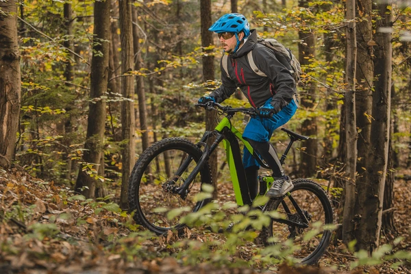 Основные компоненты системы PAS